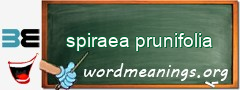 WordMeaning blackboard for spiraea prunifolia